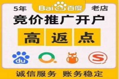 专业SEM代运营推广公司成功案例分享